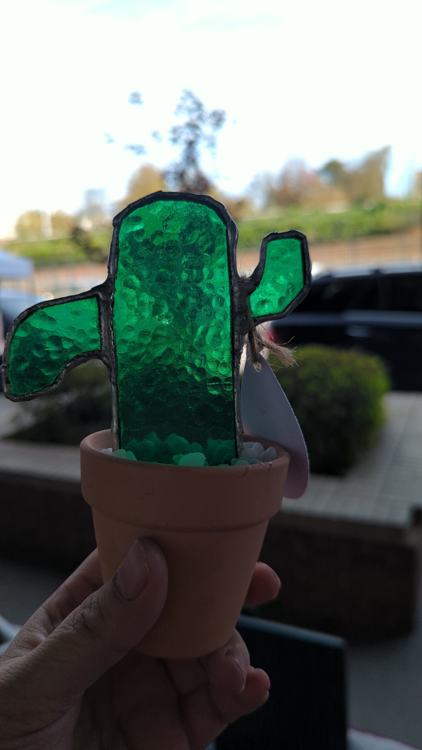 Stained Glass Cactus in pot